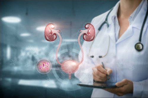 A húgyúti mikrobiom és a húgyhólyagdaganat kapcsolata – Interjú Dr. Monyók Ádám urológussal