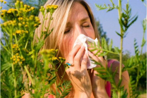 Allergén-specifikus immunterápia