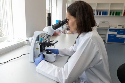 Államilag akkreditált képzőhellyé vált a TritonLabs