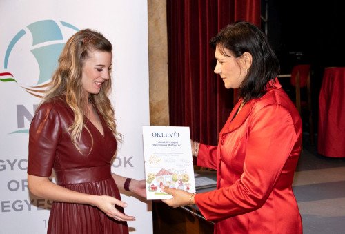Idén is Arany Bölcső díjat vehetett át a TritonLife